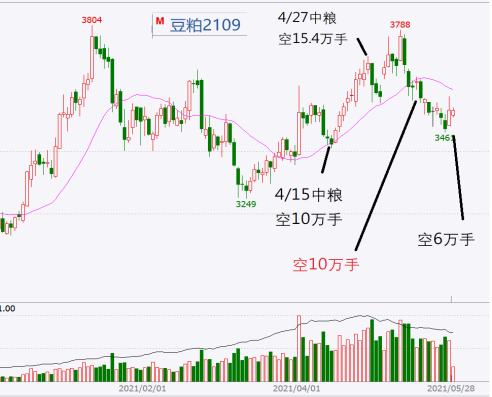 美豆粕期貨行情分析與展望，最新市場動(dòng)態(tài)及趨勢預(yù)測