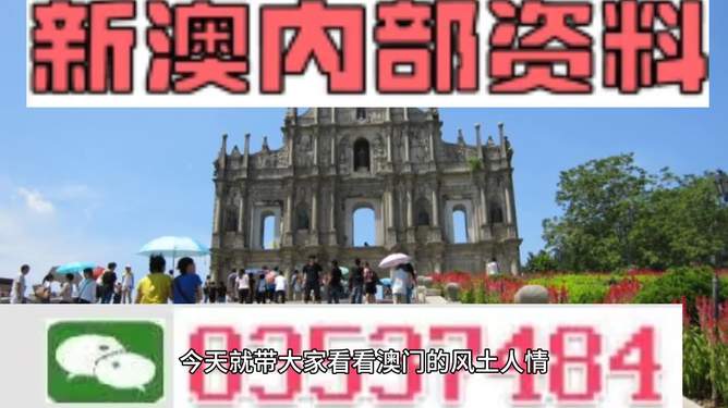 新澳資料大全正版資料2024年免費(fèi)下載，準(zhǔn)確資料解釋落實(shí)_WP88.61.16