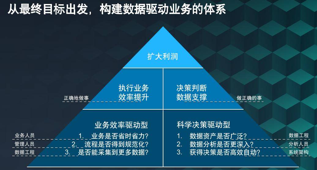 2024新奧資料免費精準071，決策資料解釋落實_The69.55.31