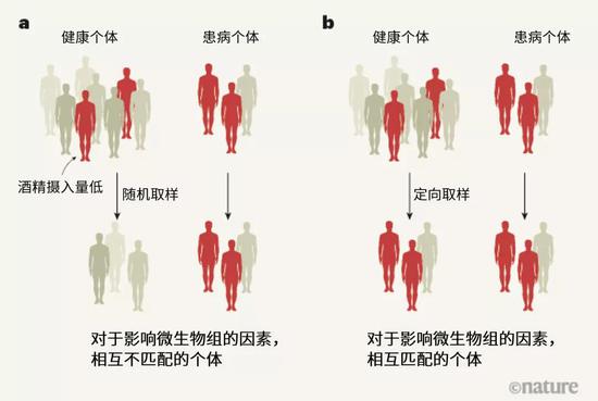 探索人體奧秘的新領(lǐng)域，最新窩窩人體研究揭秘人體奧秘