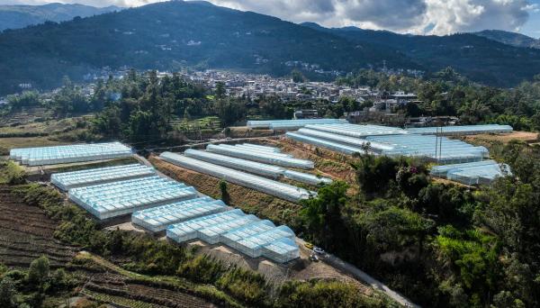 鳳慶縣概覽，最新消息與概述