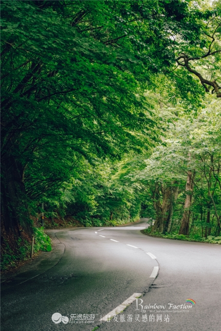 探尋紅薯新價，心靈之旅與自然美景的完美結合或心靈之旅揭秘，紅薯最新價格行情與自然美景之旅