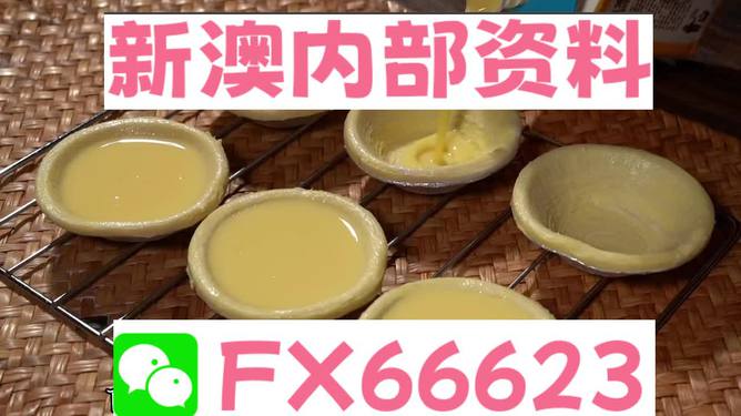 新澳精準(zhǔn)資料免費(fèi)提供,動態(tài)詞語解析_中級版CEN672.22