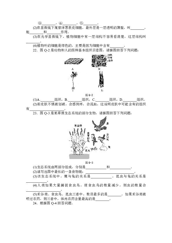 新澳門王中王100%期期中,綜合評(píng)估分析_動(dòng)態(tài)版409.15