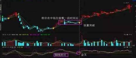 新奧門特免費(fèi)資料大全火鳳凰,實(shí)際指標(biāo)_CHU473.35金丹