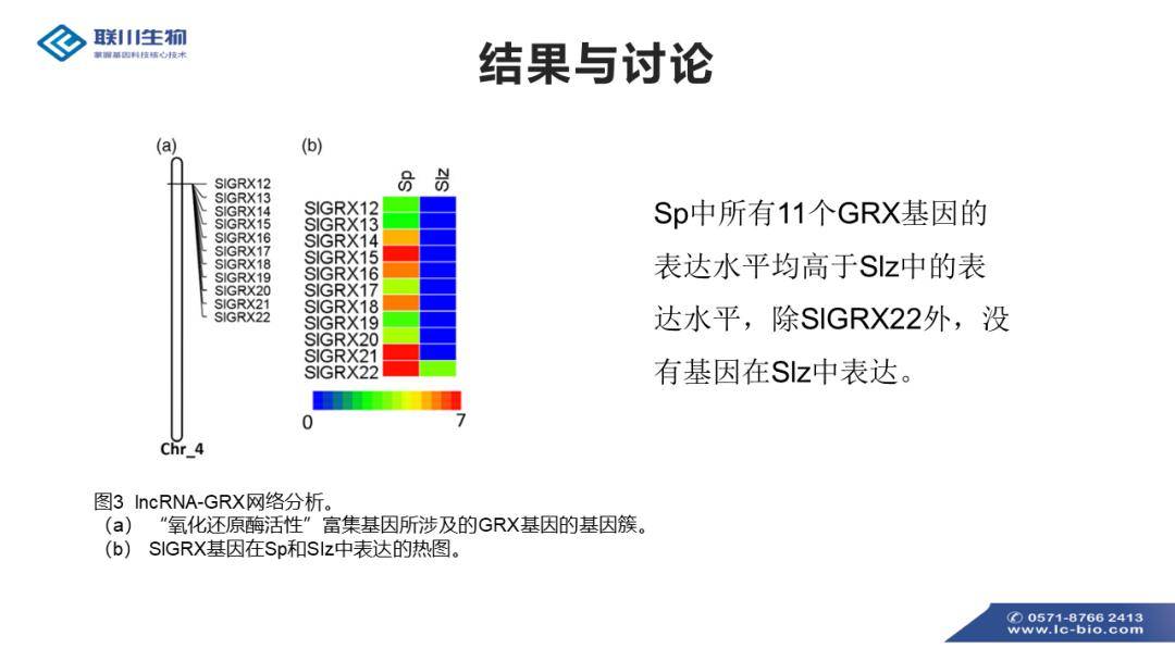 JMT96.818融合版：新澳精準資料策略大全免費分享