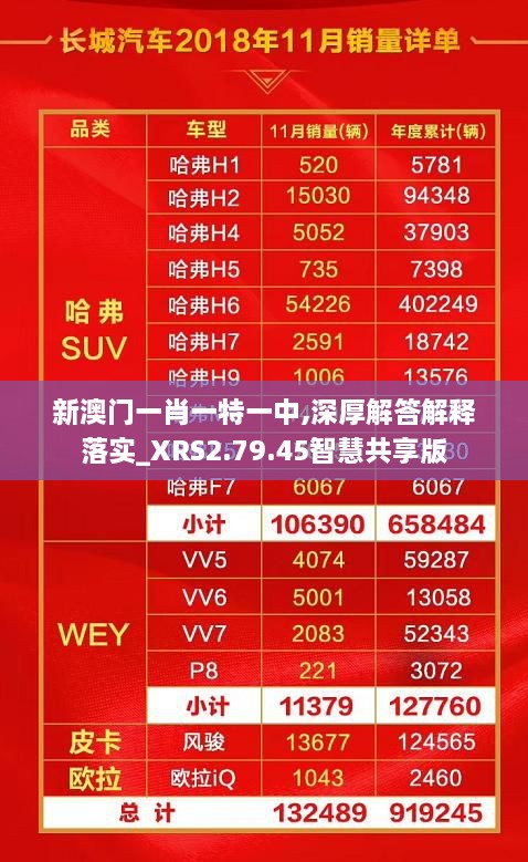 新澳門(mén)一肖一特一中,深厚解答解釋落實(shí)_XRS2.79.45智慧共享版