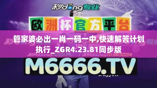 管家婆必出一肖一碼一中,快速解答計劃執(zhí)行_ZGR4.23.81同步版