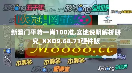 新澳門平特一肖100準,實地說明解析研究_XXD9.68.71硬件版