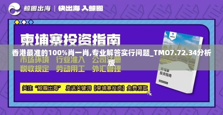 香港最準的100%肖一肖,專業(yè)解答實行問題_TMO7.72.34分析版