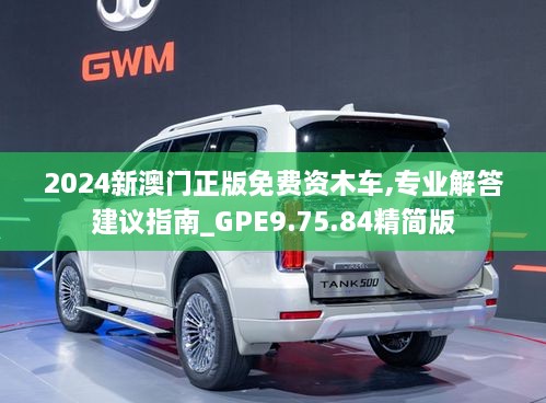 2024新澳門正版免費資木車,專業(yè)解答建議指南_GPE9.75.84精簡版