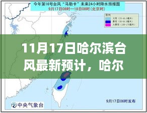 哈爾濱臺風(fēng)小插曲，溫馨日常與最新預(yù)計(jì)報(bào)告