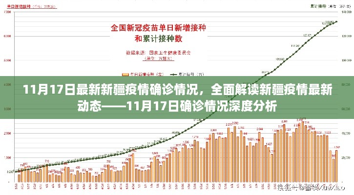 新疆疫情最新動態(tài)深度解讀，11月17日確診情況分析