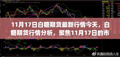 白糖期貨行情分析，聚焦市場動態(tài)與未來展望（最新行情報道，日期，11月17日）