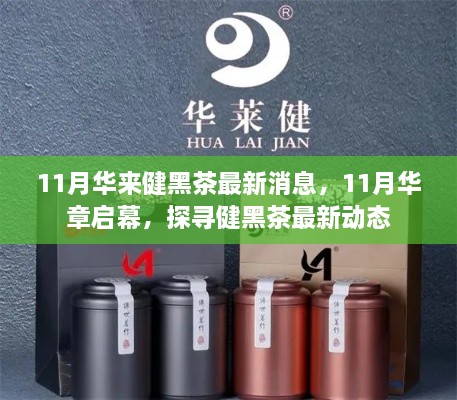 探尋健黑茶最新動態(tài)，華章啟幕，華來健黑茶最新消息揭秘