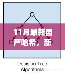 新哈希算法下的暖心日常，友情、家庭與愛的紐帶（11月最新國產(chǎn)哈希分享）