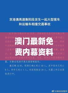 澳門最新免費內(nèi)幕資料，11月19日深度解析與解答方案_SVP8.12.34標準版