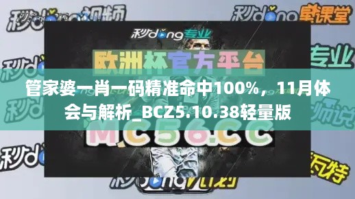 管家婆一肖一碼精準(zhǔn)命中100%，11月體會(huì)與解析_BCZ5.10.38輕量版