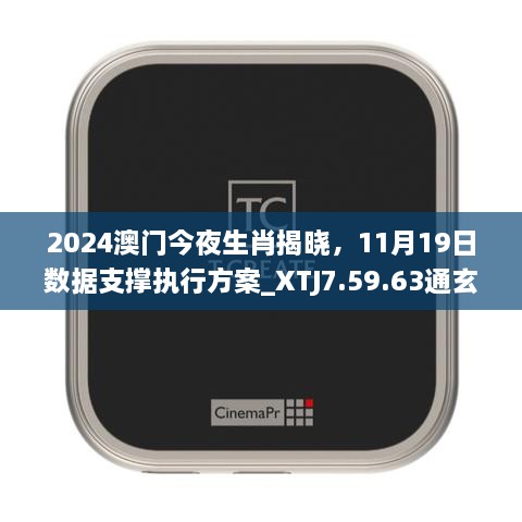 2024澳門今夜生肖揭曉，11月19日數(shù)據(jù)支撐執(zhí)行方案_XTJ7.59.63通玄境