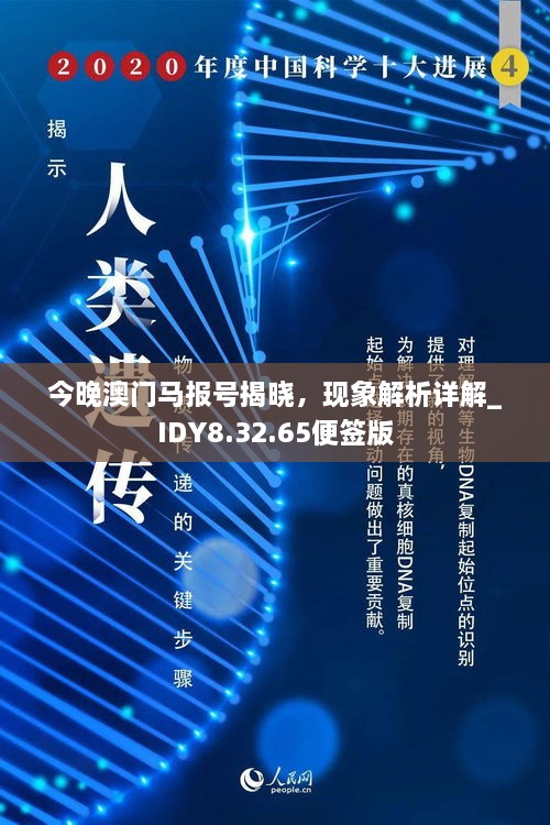 今晚澳門馬報號揭曉，現(xiàn)象解析詳解_IDY8.32.65便簽版