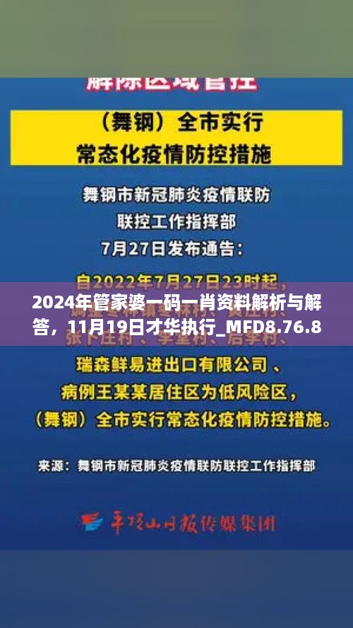 2024年管家婆一碼一肖資料解析與解答，11月19日才華執(zhí)行_MFD8.76.81加速版