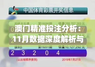 澳門精準投注分析：11月數據深度解析與VAE3.74.27無線版設計