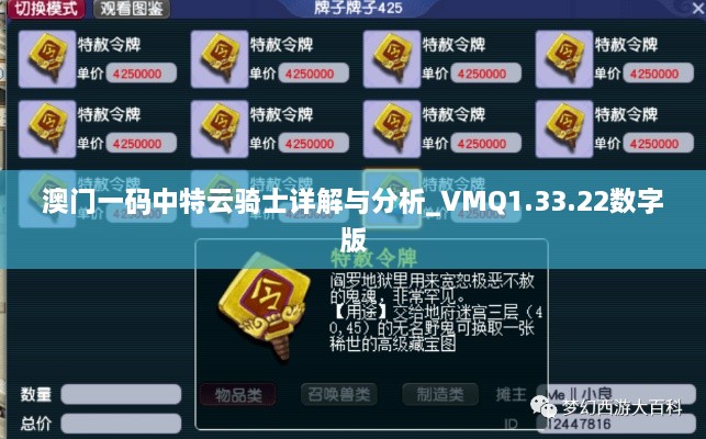 澳門(mén)一碼中特云騎士詳解與分析_VMQ1.33.22數(shù)字版