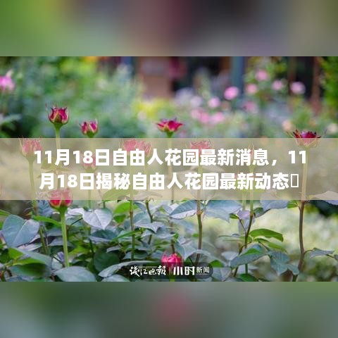 揭秘自由人花園最新動態(tài)，最新消息一覽（11月18日）