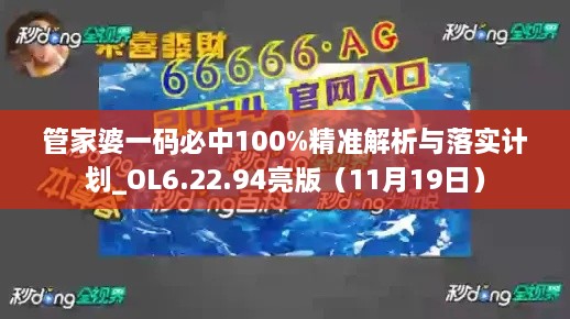 管家婆一碼必中100%精準(zhǔn)解析與落實(shí)計(jì)劃_OL6.22.94亮版（11月19日）