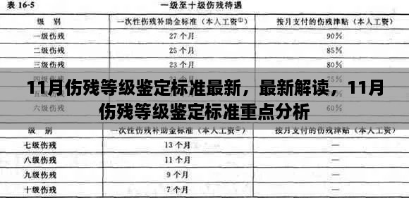 最新解讀與重點(diǎn)分析，11月傷殘等級(jí)鑒定標(biāo)準(zhǔn)詳解