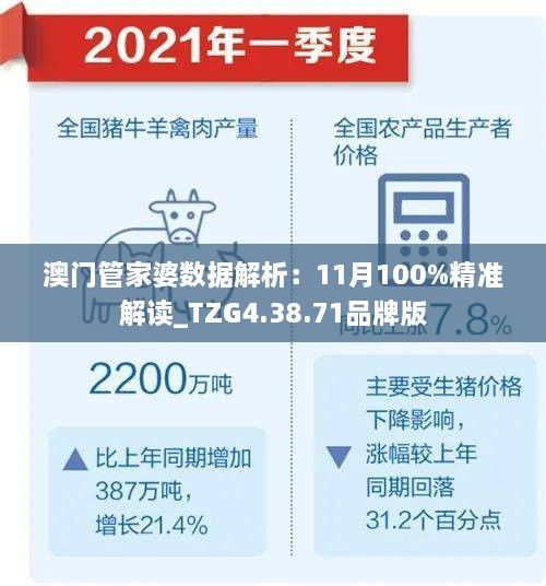 澳門管家婆數(shù)據(jù)解析：11月100%精準(zhǔn)解讀_TZG4.38.71品牌版