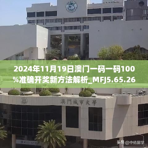 2024年11月19日澳門一碼一碼100%準(zhǔn)確開獎新方法解析_MFJ5.65.26奢華版