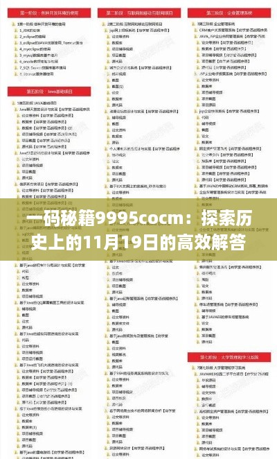 一碼秘籍9995cocm：探索歷史上的11月19日的高效解答策略_JYB2.46.73展示版