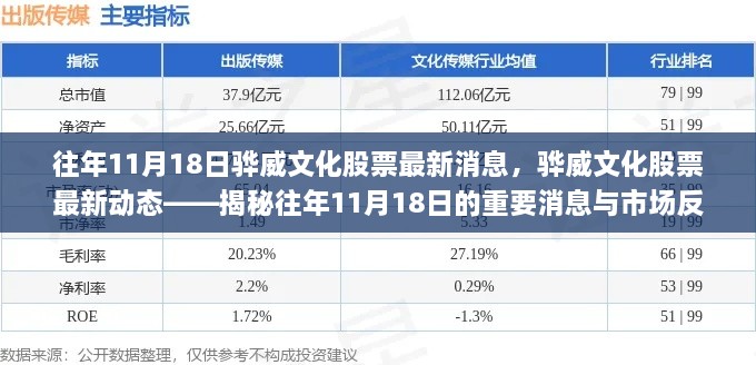 揭秘，驊威文化股票歷年11月18日的最新動態(tài)與市場反應。