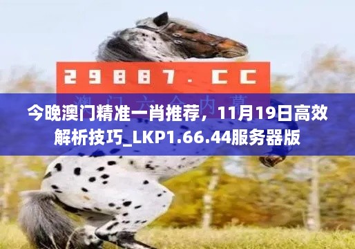 今晚澳門精準(zhǔn)一肖推薦，11月19日高效解析技巧_LKP1.66.44服務(wù)器版