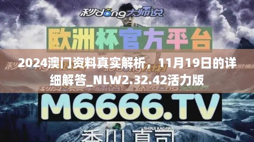 2024澳門資料真實解析，11月19日的詳細解答_NLW2.32.42活力版