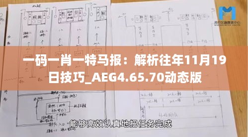 一碼一肖一特馬報(bào)：解析往年11月19日技巧_AEG4.65.70動(dòng)態(tài)版