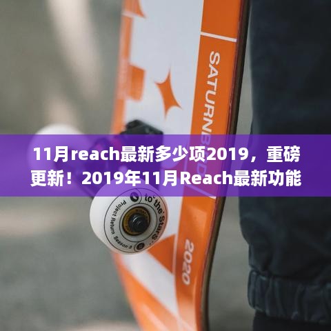 重磅更新！2019年11月Reach最新功能匯總及更新數(shù)量揭曉