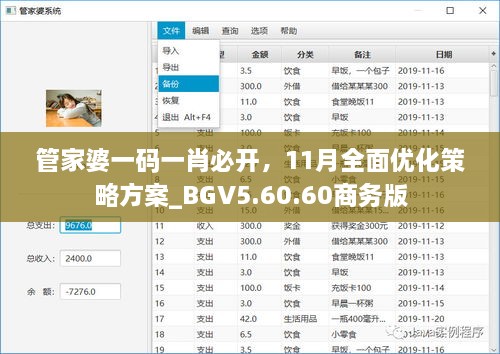 管家婆一碼一肖必開，11月全面優(yōu)化策略方案_BGV5.60.60商務(wù)版