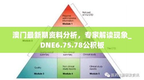 澳門最新期資料分析，專家解讀現(xiàn)象_DNE6.75.78公積板