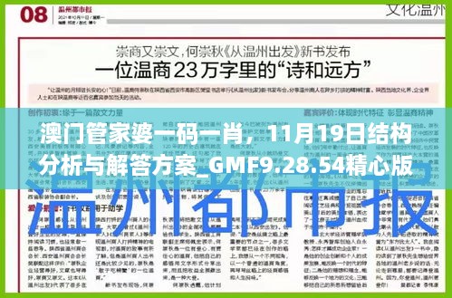 澳門管家婆一碼一肖，11月19日結(jié)構(gòu)分析與解答方案_GMF9.28.54精心版