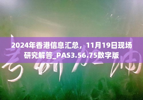 2024年香港信息匯總，11月19日現(xiàn)場研究解答_PAS3.56.75數(shù)字版