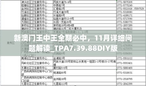 新澳門王中王全期必中，11月詳細問題解讀_TPA7.39.88DIY版