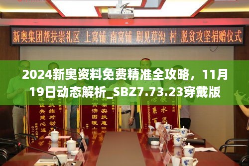 2024新奧資料免費精準全攻略，11月19日動態(tài)解析_SBZ7.73.23穿戴版