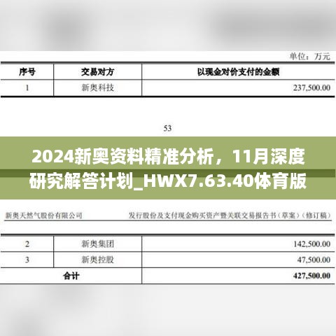 2024新奧資料精準分析，11月深度研究解答計劃_HWX7.63.40體育版