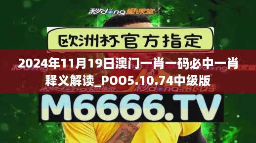 2024年11月19日澳門一肖一碼必中一肖釋義解讀_POO5.10.74中級版