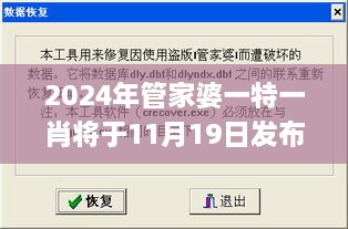 2024年管家婆一特一肖將于11月19日發(fā)布，便捷解答與解釋_LKT7.17.68專家版