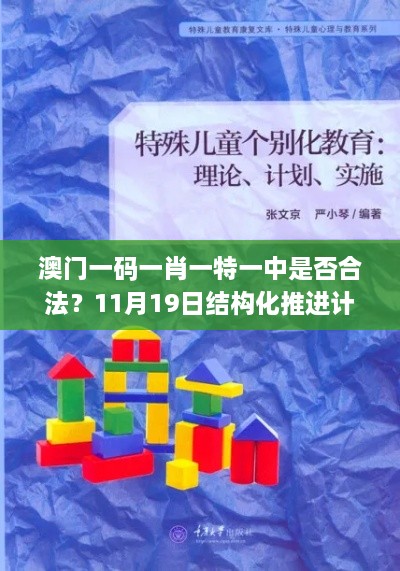 澳門一碼一肖一特一中是否合法？11月19日結構化推進計劃評估_JHZ7.37.43極速版