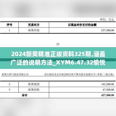 2024新奧精準(zhǔn)正版資料325期,涵蓋廣泛的說(shuō)明方法_XYM6.47.32愉悅版