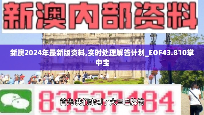 新澳2024年最新版資料,實(shí)時處理解答計劃_EOF43.810掌中寶